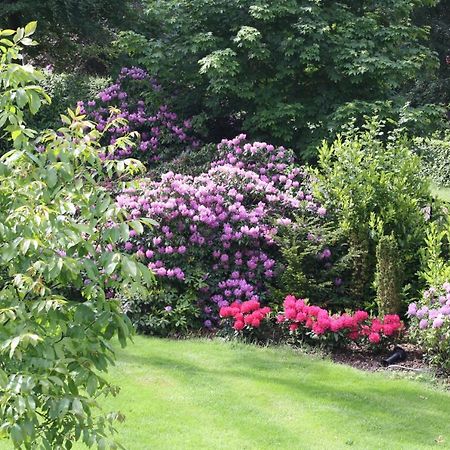 Bed & Breakfast Op 'T Leven Ermelo Exteriör bild