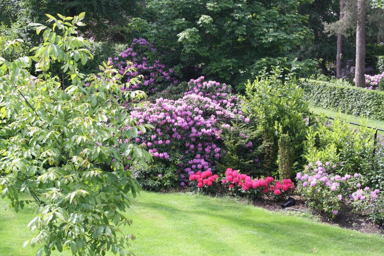 Bed & Breakfast Op 'T Leven Ermelo Exteriör bild